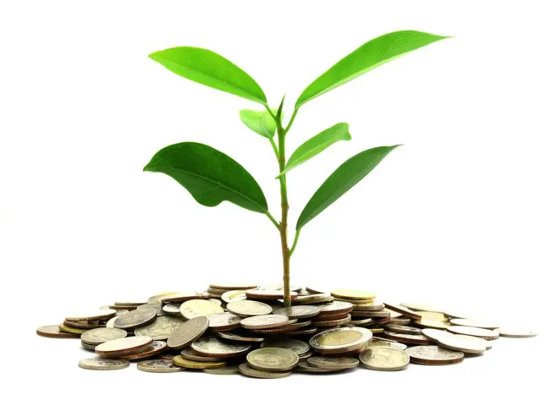 Инвестиции SKF в сохранение экологии | Свежие новости в Грозном 