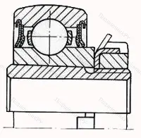 Модификация подшипника 1680205С17 размер 25x62x18/31 от производителя  ГПЗ-8